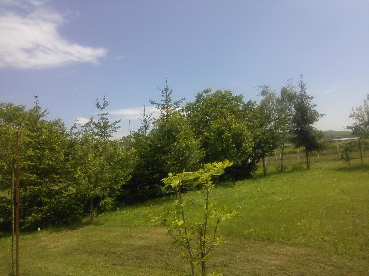 Casa Cionca Pension Gilău Buitenkant foto