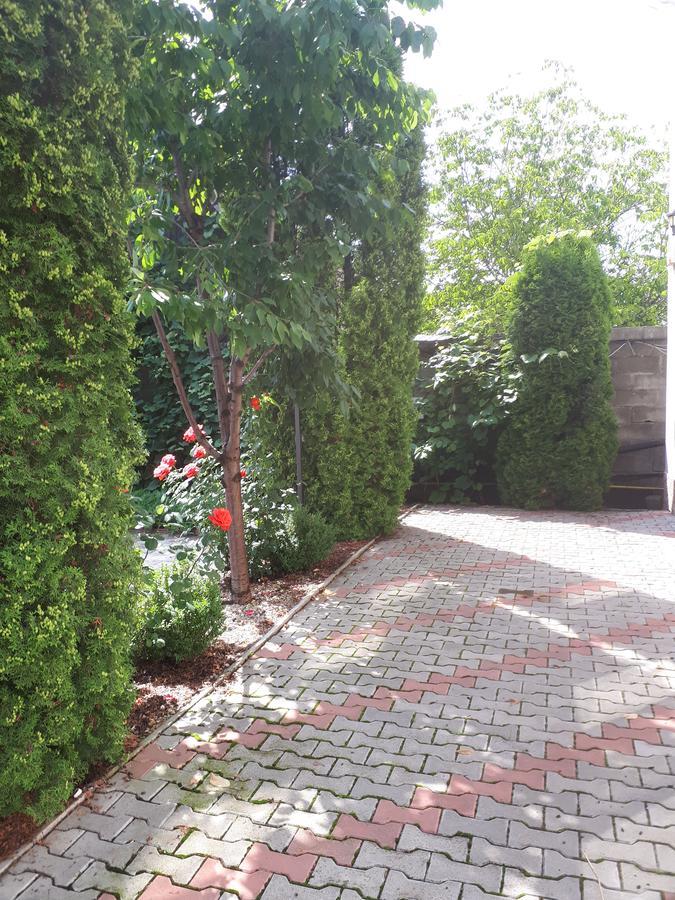 Casa Cionca Pension Gilău Buitenkant foto